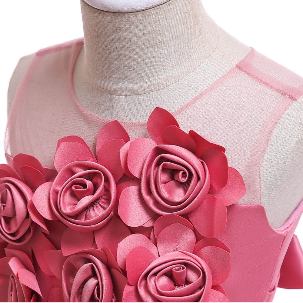 Fancy Embroidered Floral birthday dress - Picture 5 of 12